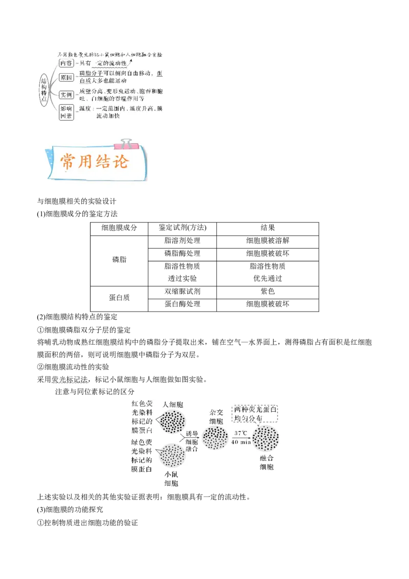 考向02细胞的基本结构-备战2023年高考生物一轮复习考点微专题（全国通用）（解析版）_通用版（老高考）复习资料_2023年复习资料_一轮复习