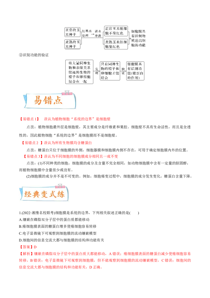 考向02细胞的基本结构-备战2023年高考生物一轮复习考点微专题（全国通用）（解析版）_通用版（老高考）复习资料_2023年复习资料_一轮复习