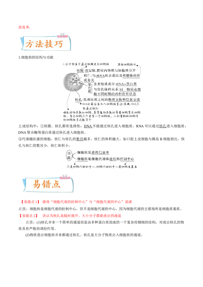 考向02细胞的基本结构-备战2023年高考生物一轮复习考点微专题（全国通用）（解析版）_通用版（老高考）复习资料_2023年复习资料_一轮复习
