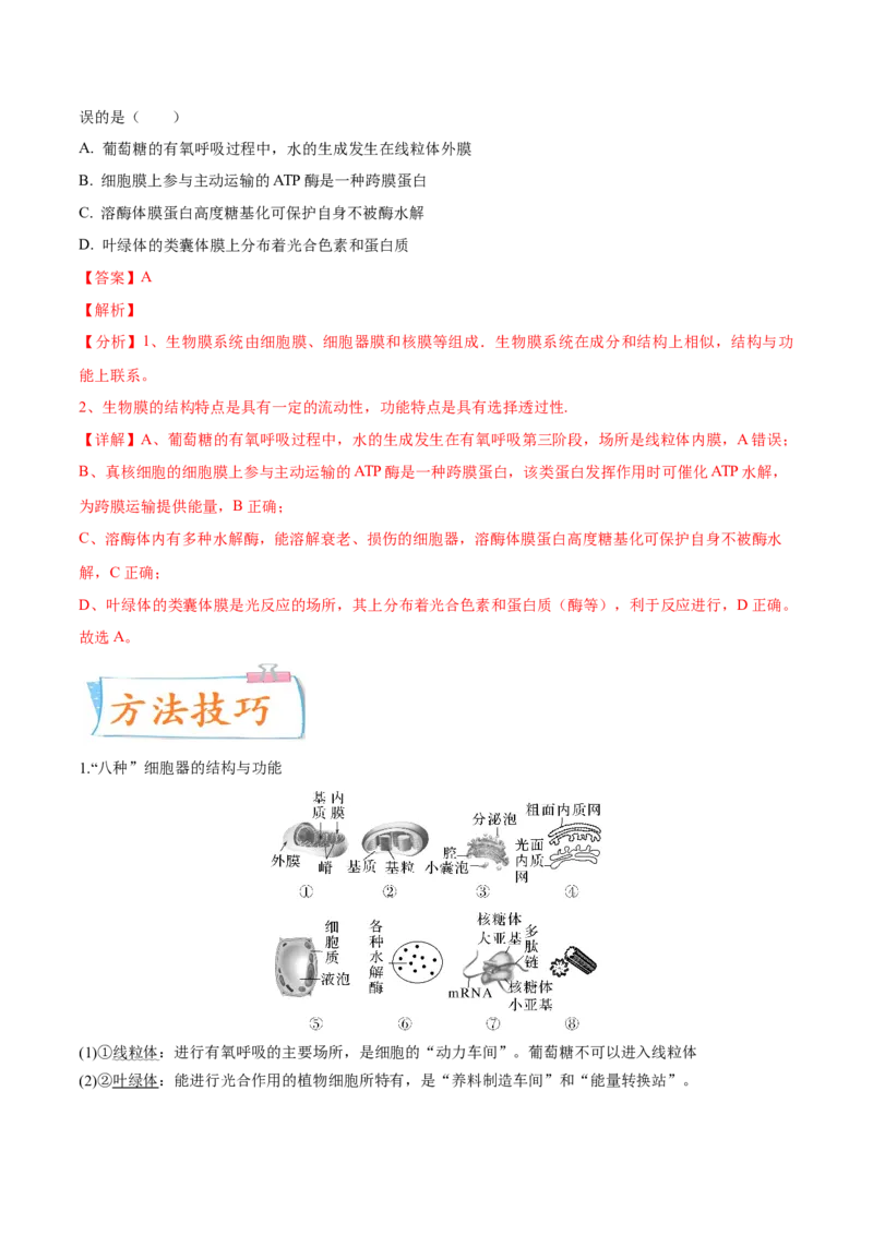 考向02细胞的基本结构-备战2023年高考生物一轮复习考点微专题（全国通用）（解析版）_通用版（老高考）复习资料_2023年复习资料_一轮复习