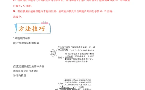 考向02细胞的基本结构-备战2023年高考生物一轮复习考点微专题（全国通用）（解析版）_通用版（老高考）复习资料_2023年复习资料_一轮复习