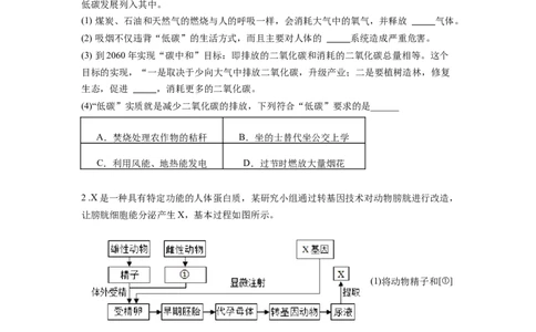 专题11人类起源和进化（原卷版）_6生物中考复习_2024年中考复习资料_一轮复习资料_完精准复习课件精讲ppt+习题精练备战2024年中考生物一轮复习全考点通关_配套练习