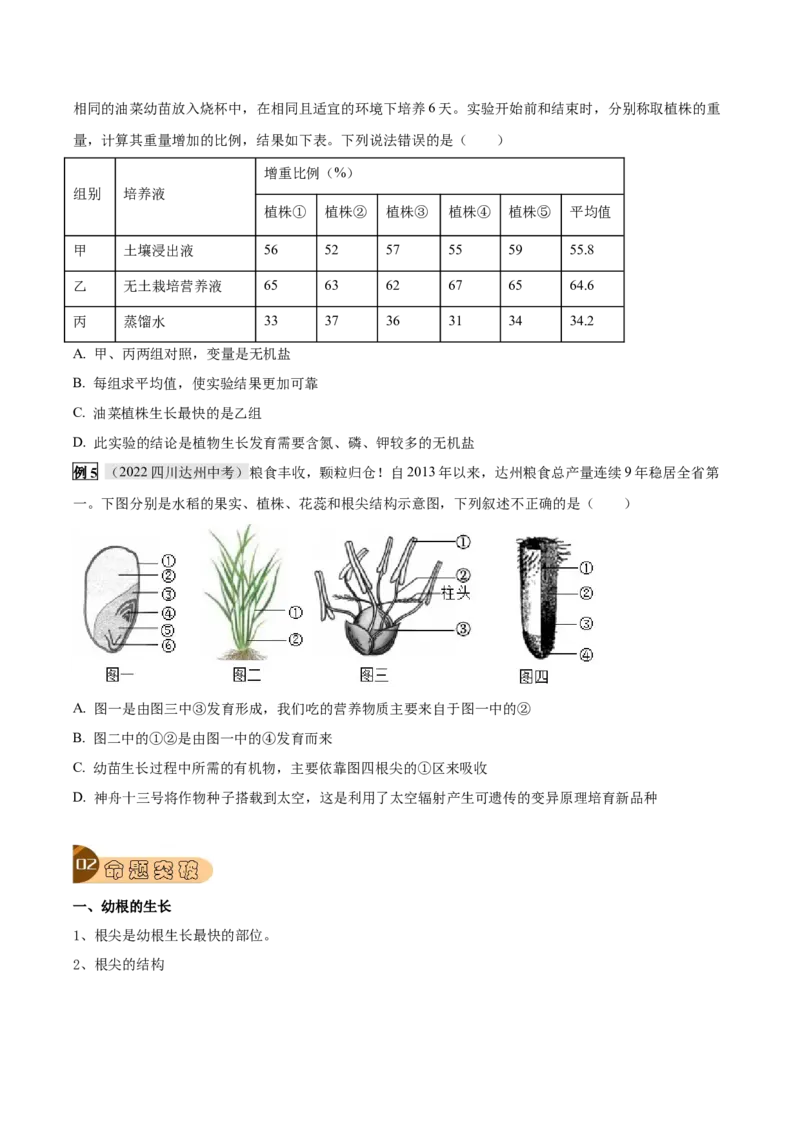 专题08被子植物的一生（原卷版）_6生物中考复习_2023年中考复习资料_专项复习_2023年中考生物总复习真题探究与变式训练（全国通用）