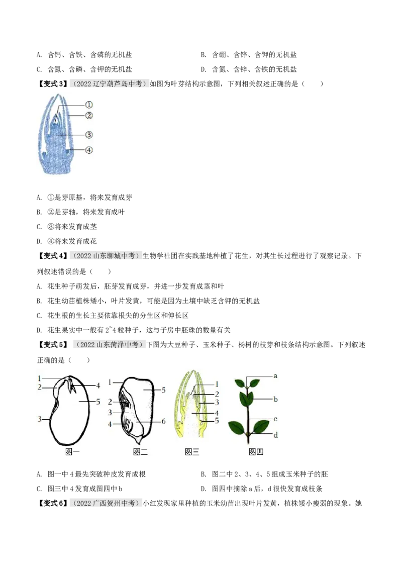 专题08被子植物的一生（原卷版）_6生物中考复习_2023年中考复习资料_专项复习_2023年中考生物总复习真题探究与变式训练（全国通用）