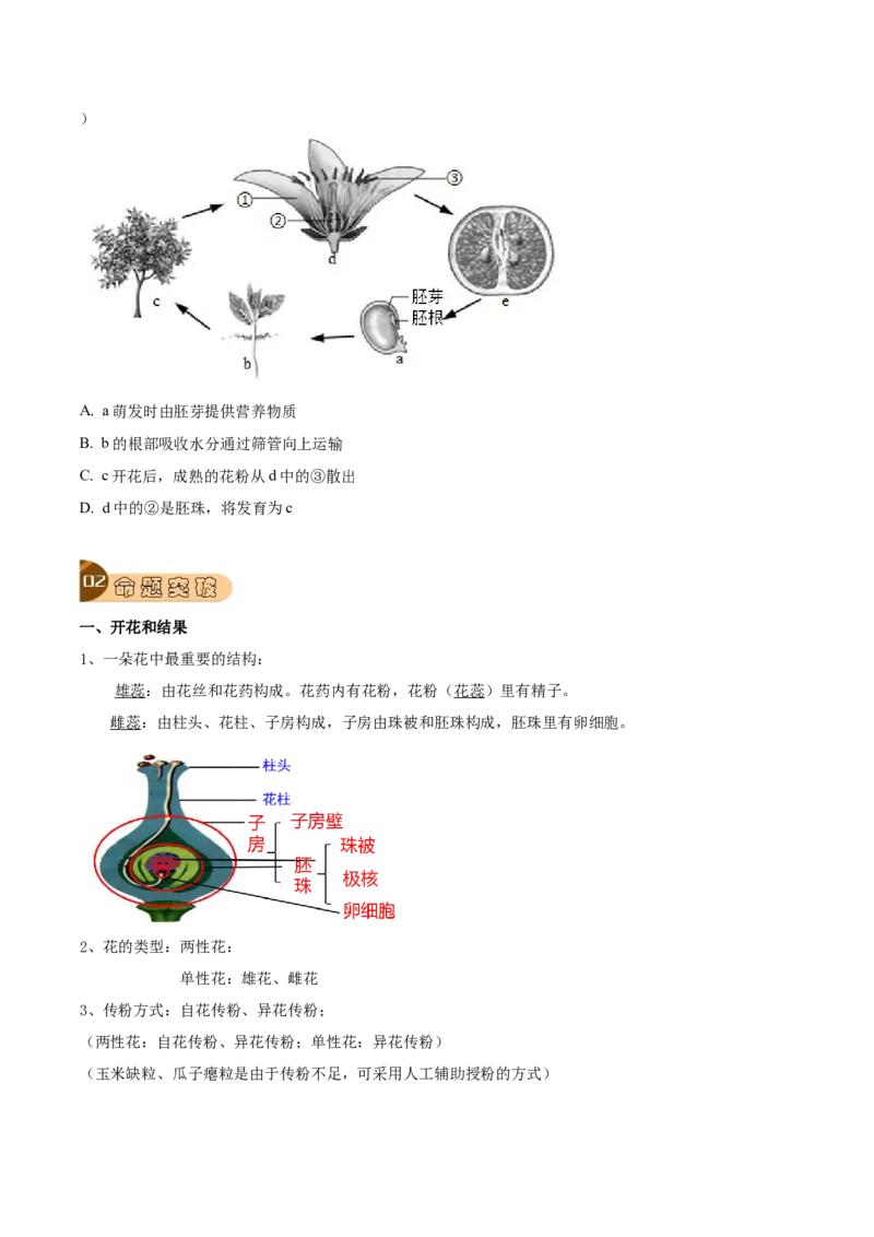 专题08被子植物的一生（原卷版）_6生物中考复习_2023年中考复习资料_专项复习_2023年中考生物总复习真题探究与变式训练（全国通用）