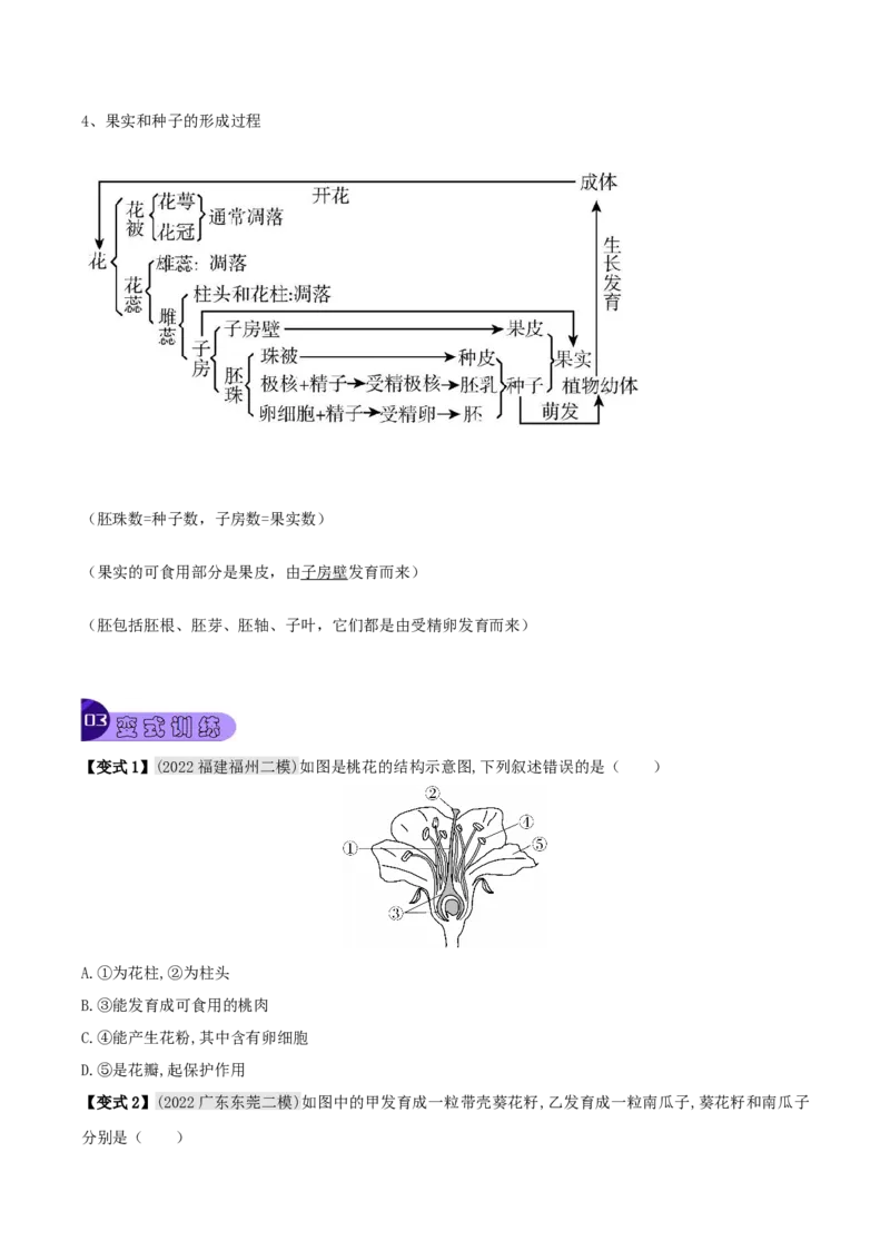 专题08被子植物的一生（原卷版）_6生物中考复习_2023年中考复习资料_专项复习_2023年中考生物总复习真题探究与变式训练（全国通用）