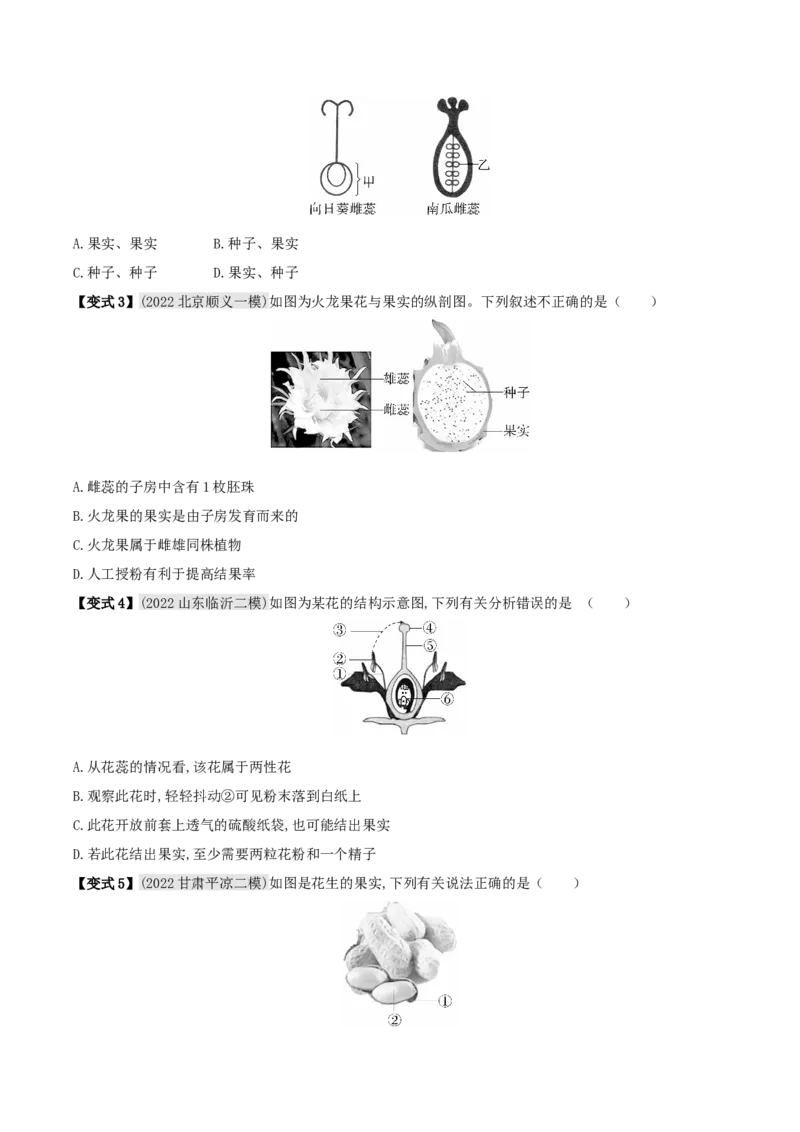 专题08被子植物的一生（原卷版）_6生物中考复习_2023年中考复习资料_专项复习_2023年中考生物总复习真题探究与变式训练（全国通用）