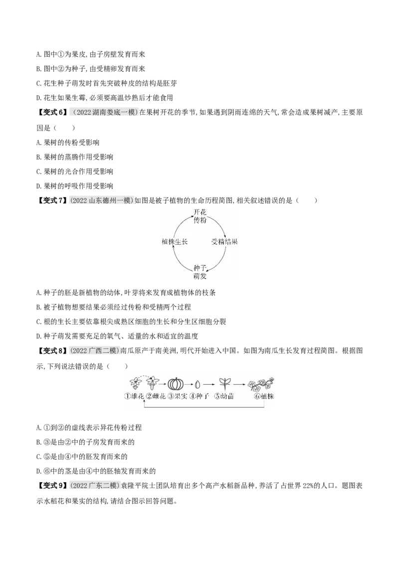 专题08被子植物的一生（原卷版）_6生物中考复习_2023年中考复习资料_专项复习_2023年中考生物总复习真题探究与变式训练（全国通用）