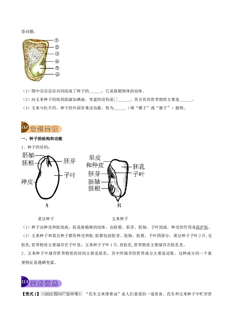 专题08被子植物的一生（原卷版）_6生物中考复习_2023年中考复习资料_专项复习_2023年中考生物总复习真题探究与变式训练（全国通用）
