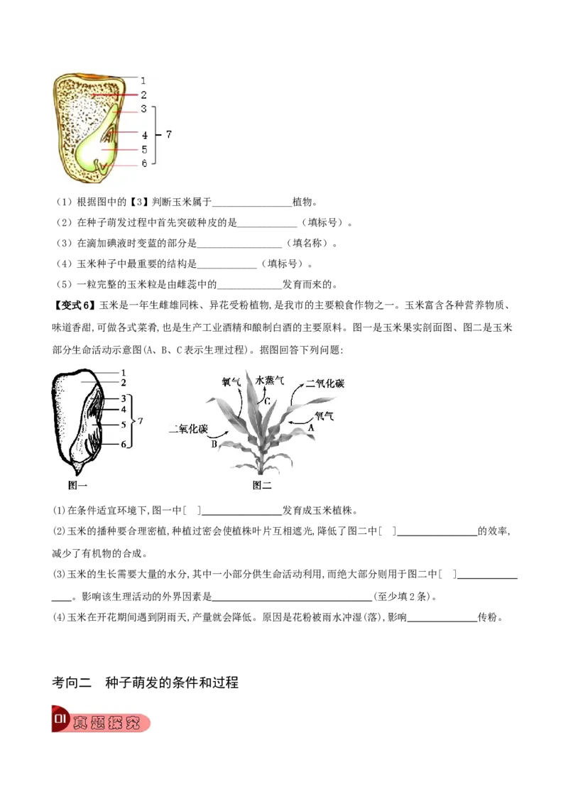 专题08被子植物的一生（原卷版）_6生物中考复习_2023年中考复习资料_专项复习_2023年中考生物总复习真题探究与变式训练（全国通用）