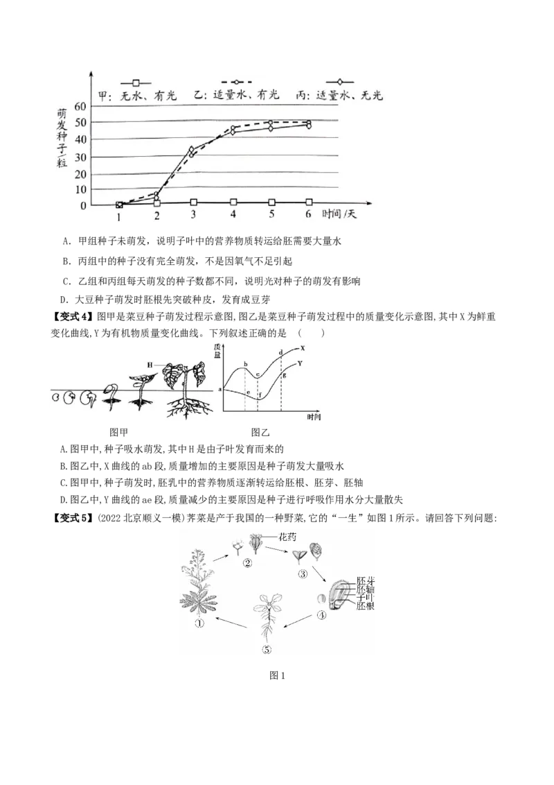 专题08被子植物的一生（原卷版）_6生物中考复习_2023年中考复习资料_专项复习_2023年中考生物总复习真题探究与变式训练（全国通用）