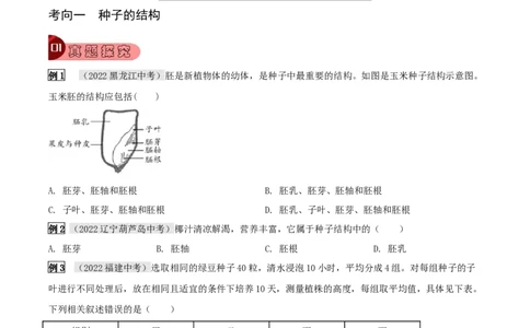 专题08被子植物的一生（原卷版）_6生物中考复习_2023年中考复习资料_专项复习_2023年中考生物总复习真题探究与变式训练（全国通用）