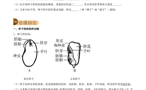 专题08被子植物的一生（原卷版）_6生物中考复习_2023年中考复习资料_专项复习_2023年中考生物总复习真题探究与变式训练（全国通用）