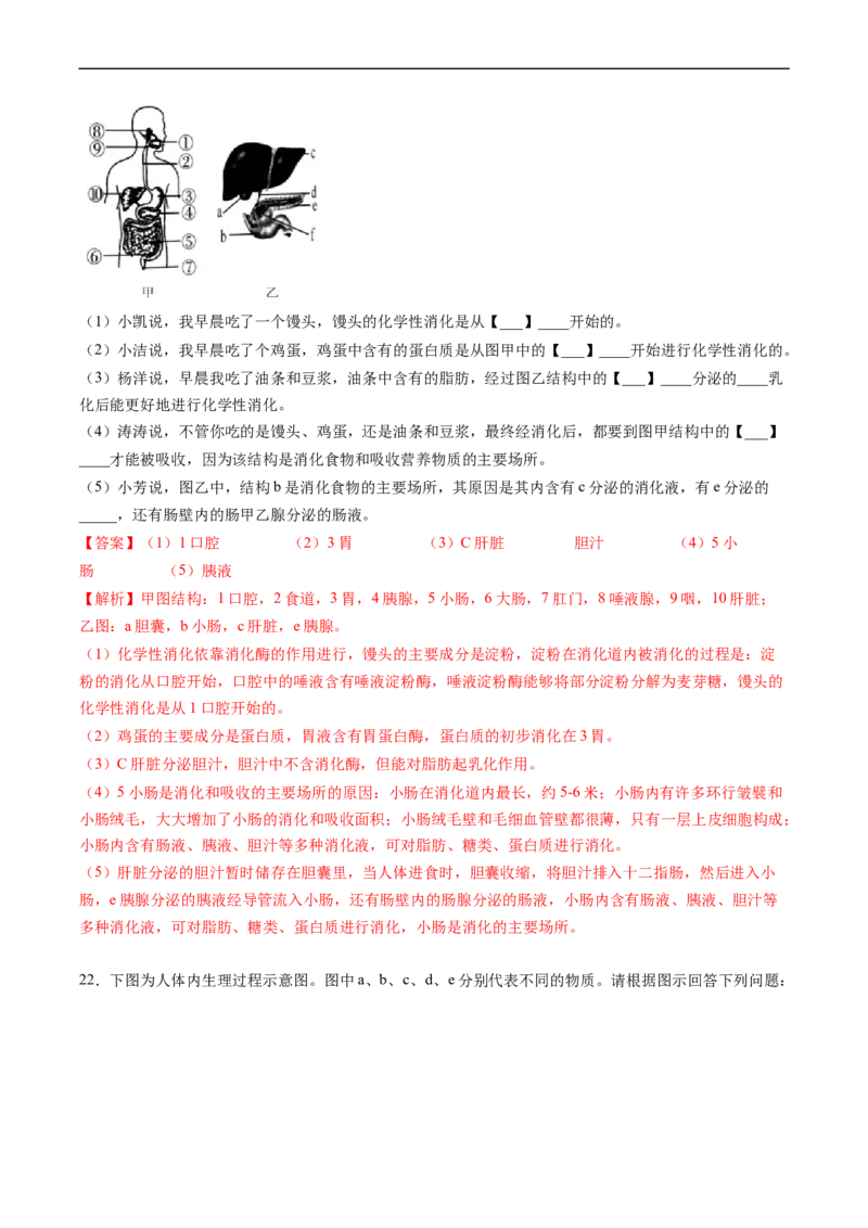 专题10人体的营养-2022年中考生物一轮复习抓重点考典型（人教版）（解析版）_6生物中考复习_2023年中考复习资料_一轮复习_2022年中考生物一轮复习抓重点考典型（人教版）