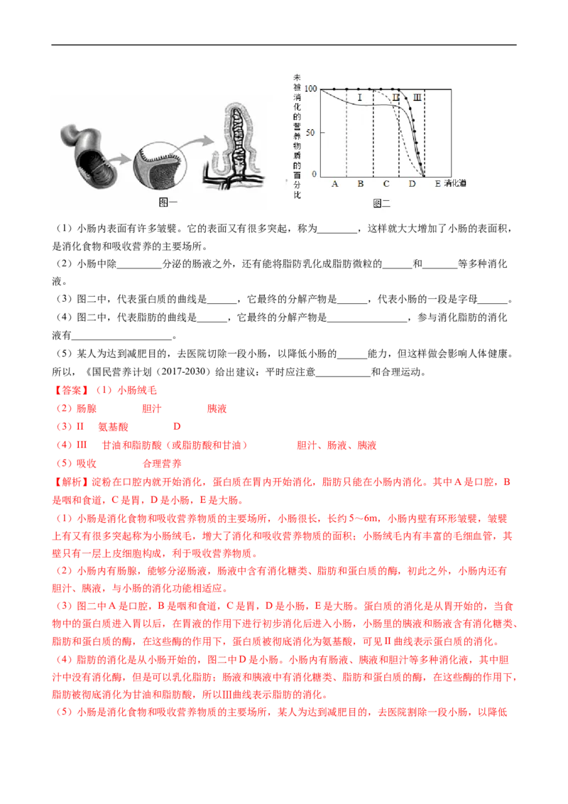 专题10人体的营养-2022年中考生物一轮复习抓重点考典型（人教版）（解析版）_6生物中考复习_2023年中考复习资料_一轮复习_2022年中考生物一轮复习抓重点考典型（人教版）