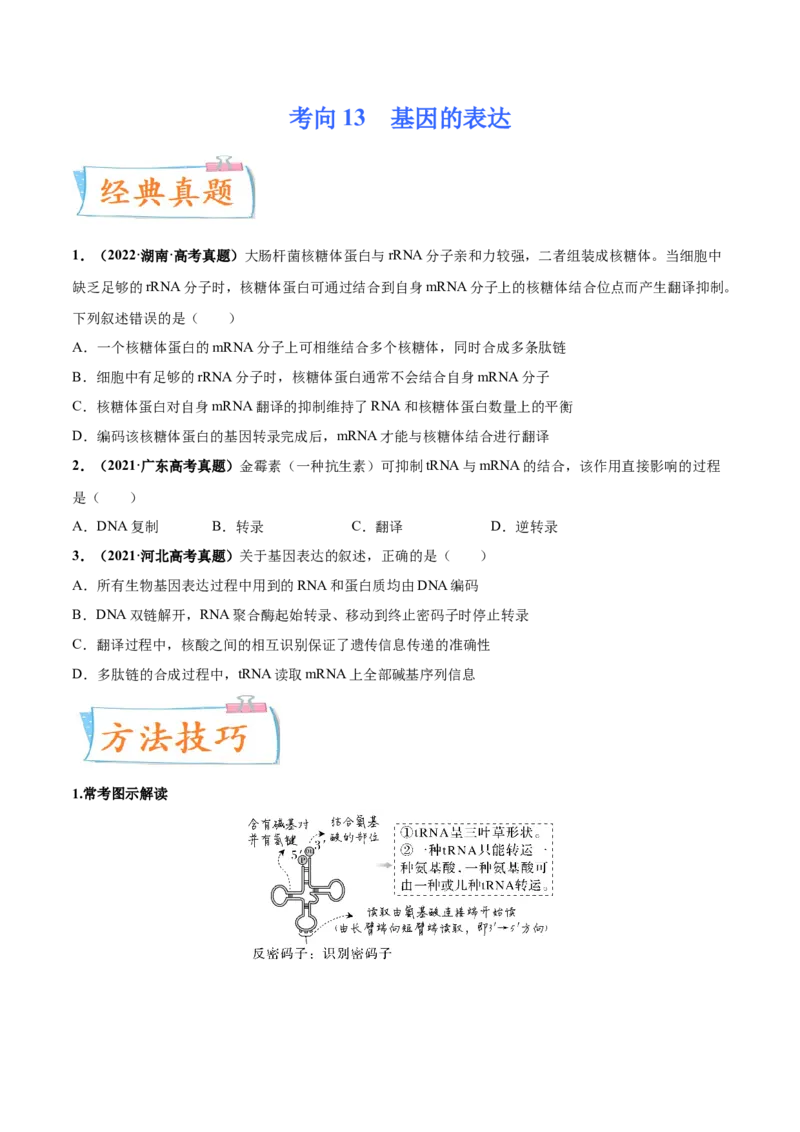 考向13基因的表达-备战2023年高考生物一轮复习考点微专题（全国通用）（原卷版）(1)_通用版（老高考）复习资料_2023年复习资料_一轮复习