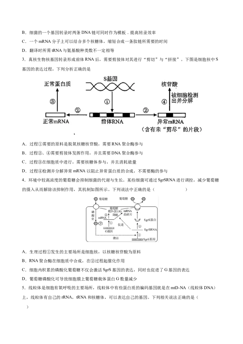 考向13基因的表达-备战2023年高考生物一轮复习考点微专题（全国通用）（原卷版）(1)_通用版（老高考）复习资料_2023年复习资料_一轮复习