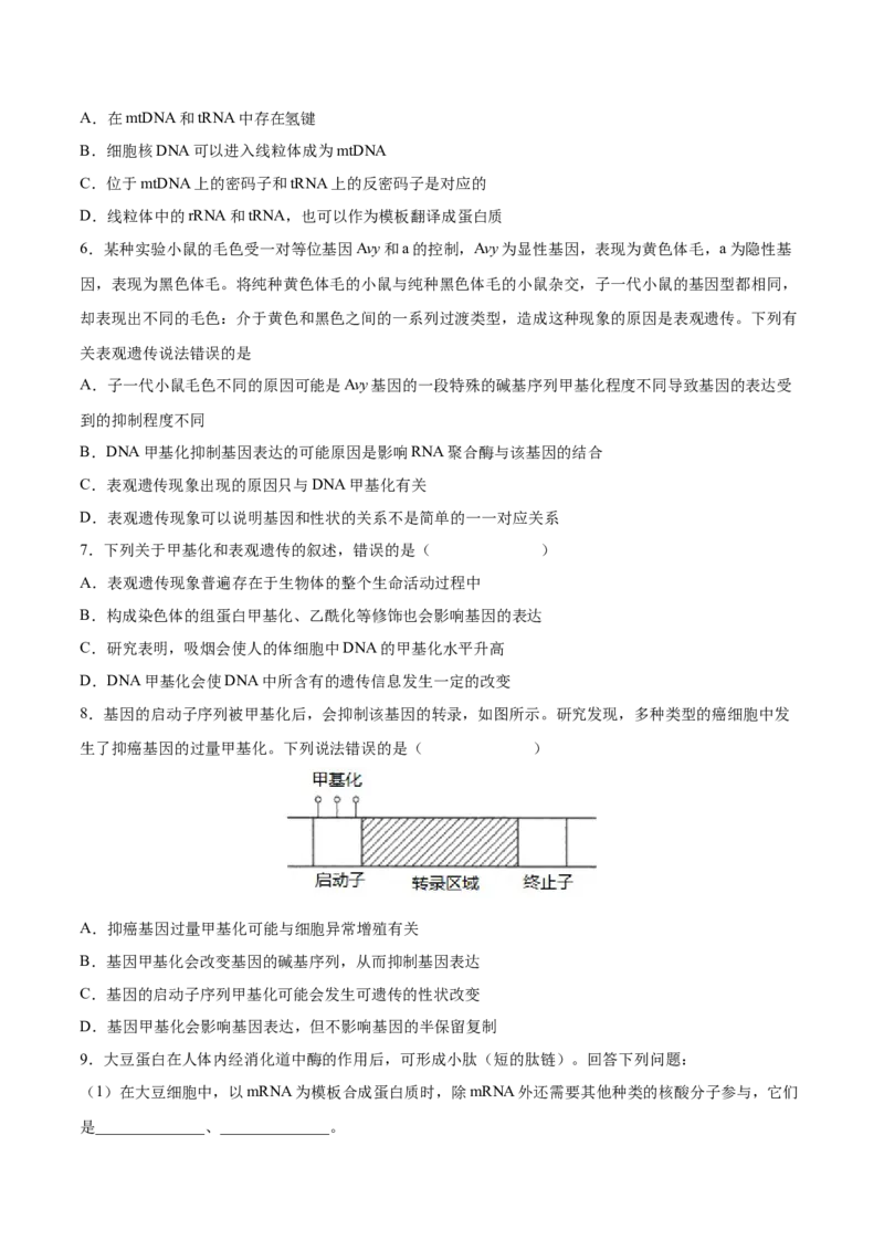 考向13基因的表达-备战2023年高考生物一轮复习考点微专题（全国通用）（原卷版）(1)_通用版（老高考）复习资料_2023年复习资料_一轮复习