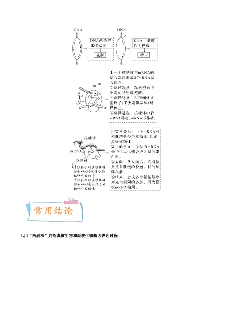 考向13基因的表达-备战2023年高考生物一轮复习考点微专题（全国通用）（原卷版）(1)_通用版（老高考）复习资料_2023年复习资料_一轮复习