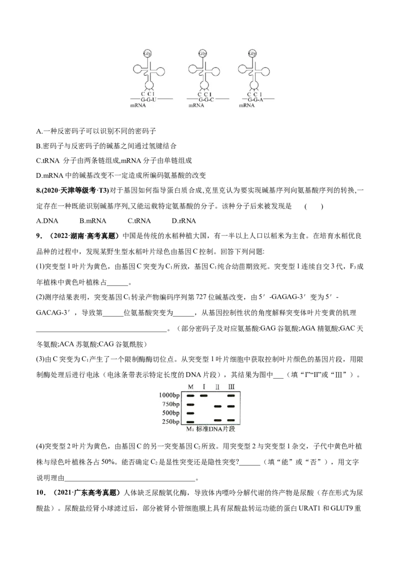 考向13基因的表达-备战2023年高考生物一轮复习考点微专题（全国通用）（原卷版）(1)_通用版（老高考）复习资料_2023年复习资料_一轮复习