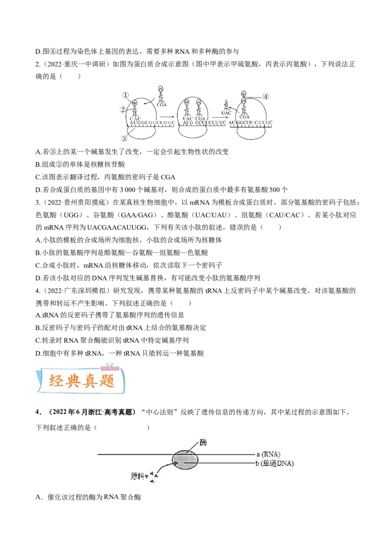 考向13基因的表达-备战2023年高考生物一轮复习考点微专题（全国通用）（原卷版）(1)_通用版（老高考）复习资料_2023年复习资料_一轮复习