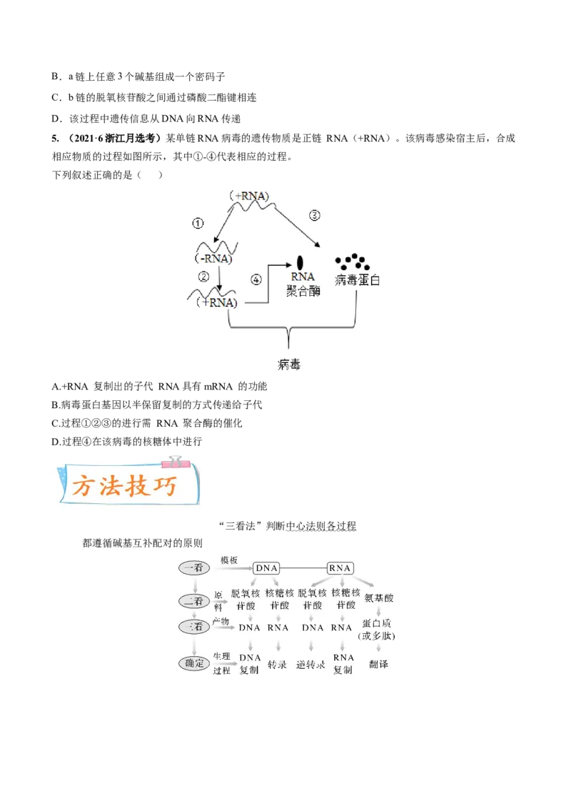 考向13基因的表达-备战2023年高考生物一轮复习考点微专题（全国通用）（原卷版）(1)_通用版（老高考）复习资料_2023年复习资料_一轮复习
