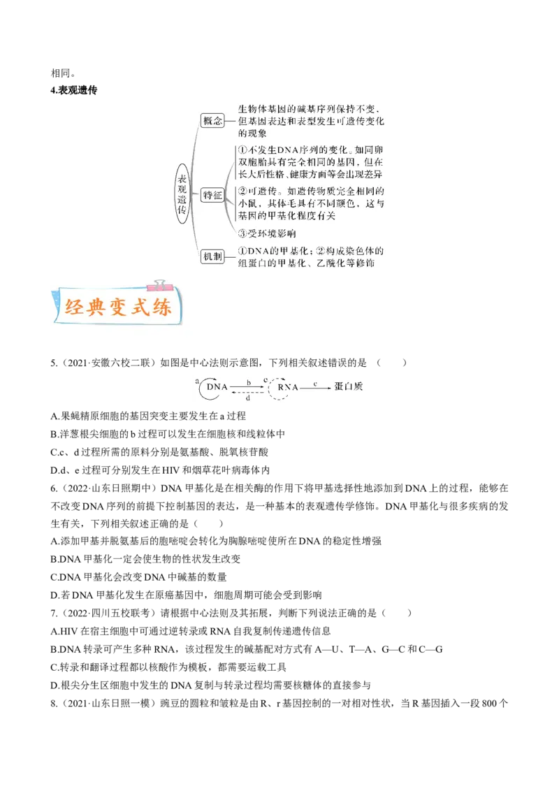 考向13基因的表达-备战2023年高考生物一轮复习考点微专题（全国通用）（原卷版）(1)_通用版（老高考）复习资料_2023年复习资料_一轮复习