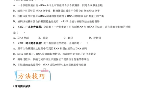 考向13基因的表达-备战2023年高考生物一轮复习考点微专题（全国通用）（原卷版）(1)_通用版（老高考）复习资料_2023年复习资料_一轮复习