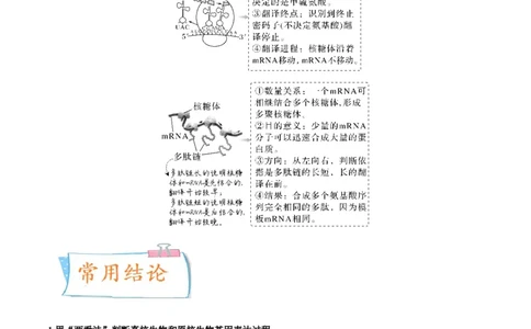 考向13基因的表达-备战2023年高考生物一轮复习考点微专题（全国通用）（原卷版）(1)_通用版（老高考）复习资料_2023年复习资料_一轮复习