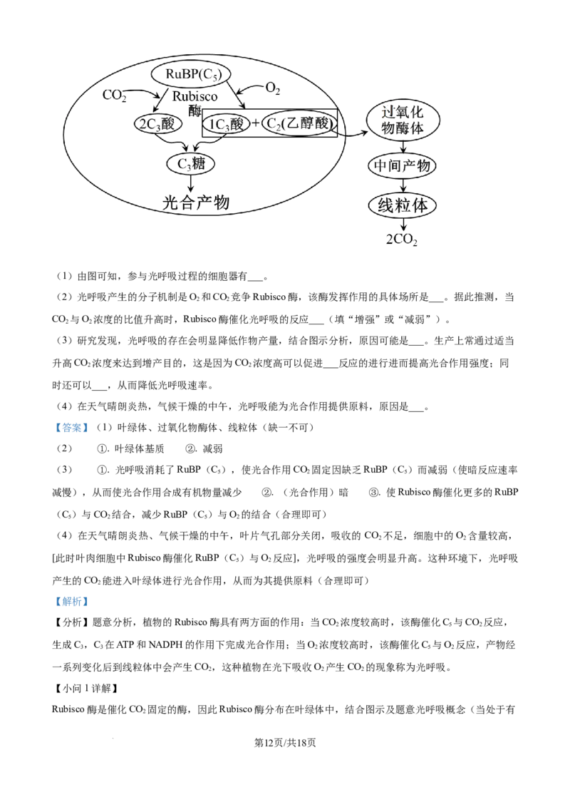 精品解析：河北省保定市五校2025-2026学年高一上学期9月月考生物试题（解析版）_2025年10月高一试卷_251005河北省保定市五校2025-2026学年高一上学期9月月考