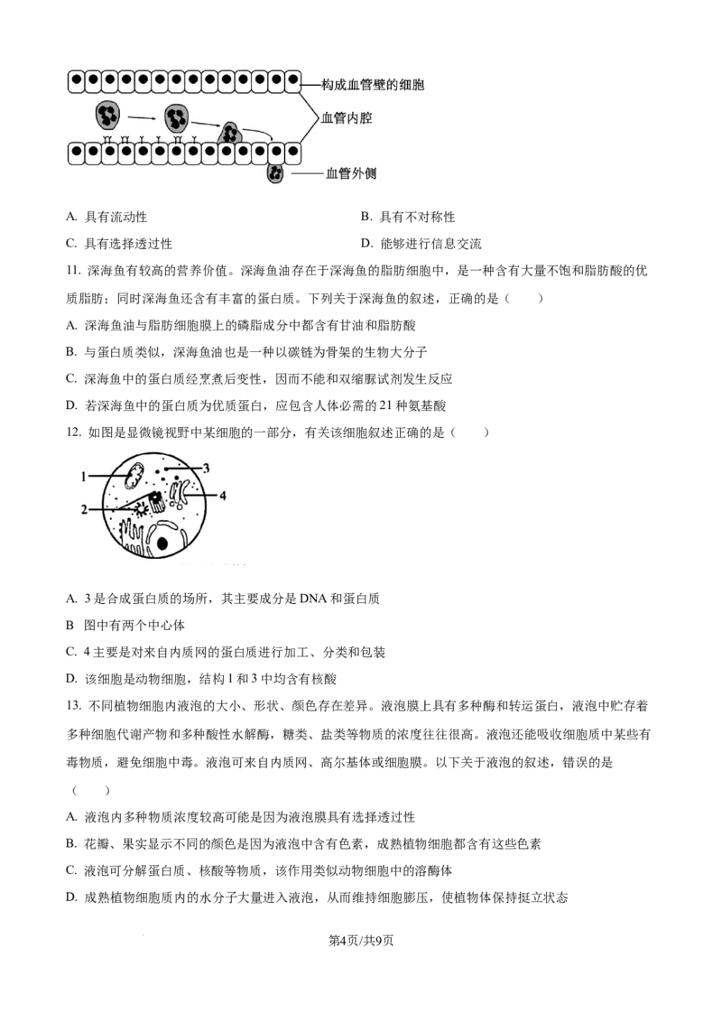 精品解析：湖南省汉寿县第一中学2025-2026学年高一上学期11月月考生物试题（原卷版）_2025年12月高一试卷_251214湖南省常德市汉寿县第一中学2025-2026学年高一上学期11月期中（全）
