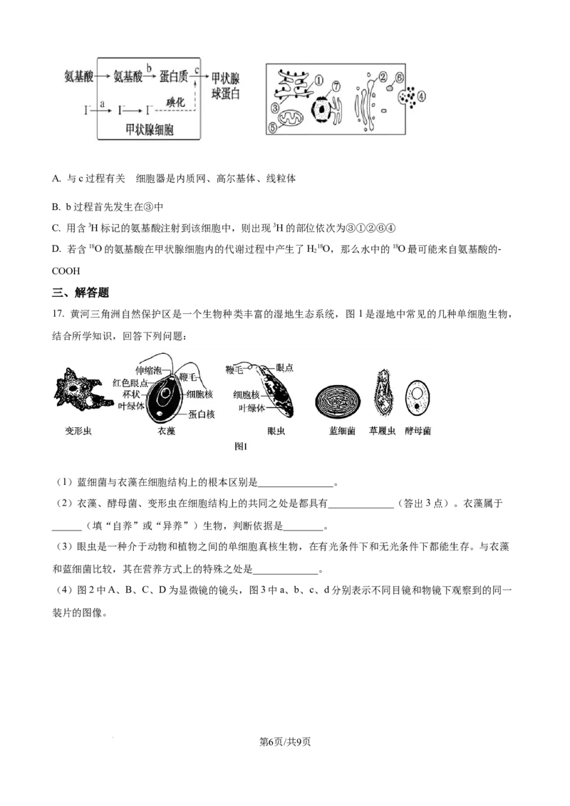 精品解析：湖南省汉寿县第一中学2025-2026学年高一上学期11月月考生物试题（原卷版）_2025年12月高一试卷_251214湖南省常德市汉寿县第一中学2025-2026学年高一上学期11月期中（全）