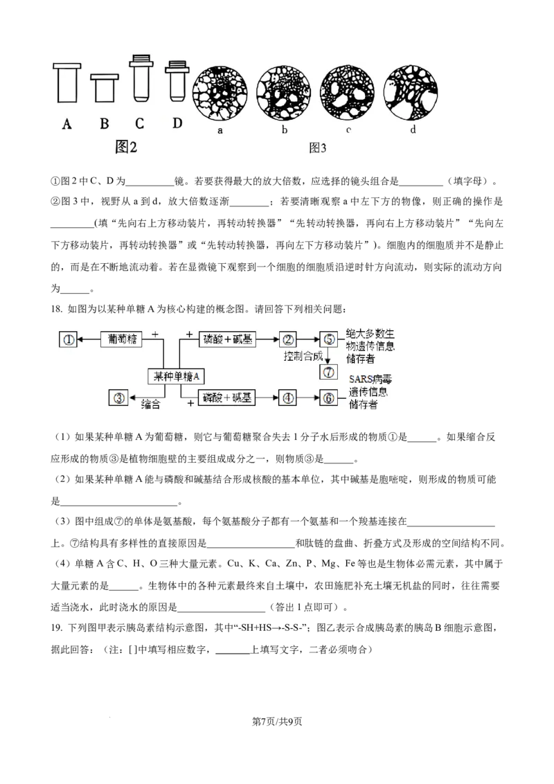 精品解析：湖南省汉寿县第一中学2025-2026学年高一上学期11月月考生物试题（原卷版）_2025年12月高一试卷_251214湖南省常德市汉寿县第一中学2025-2026学年高一上学期11月期中（全）