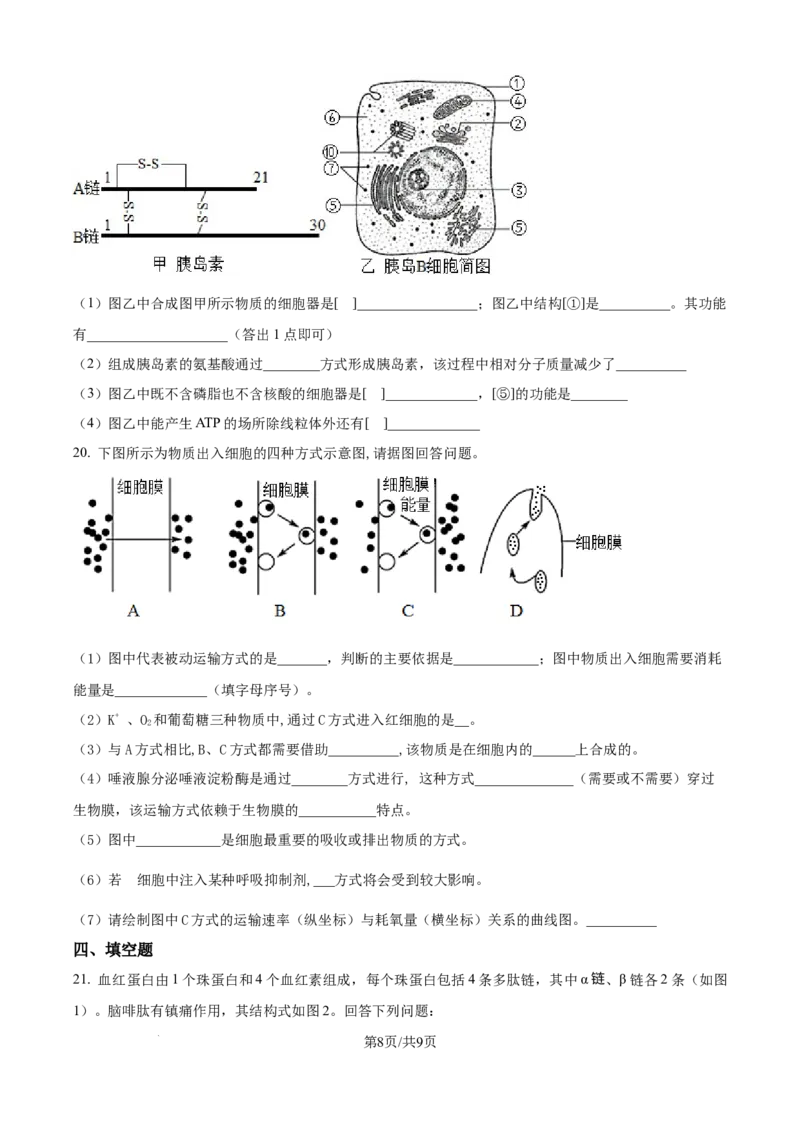 精品解析：湖南省汉寿县第一中学2025-2026学年高一上学期11月月考生物试题（原卷版）_2025年12月高一试卷_251214湖南省常德市汉寿县第一中学2025-2026学年高一上学期11月期中（全）