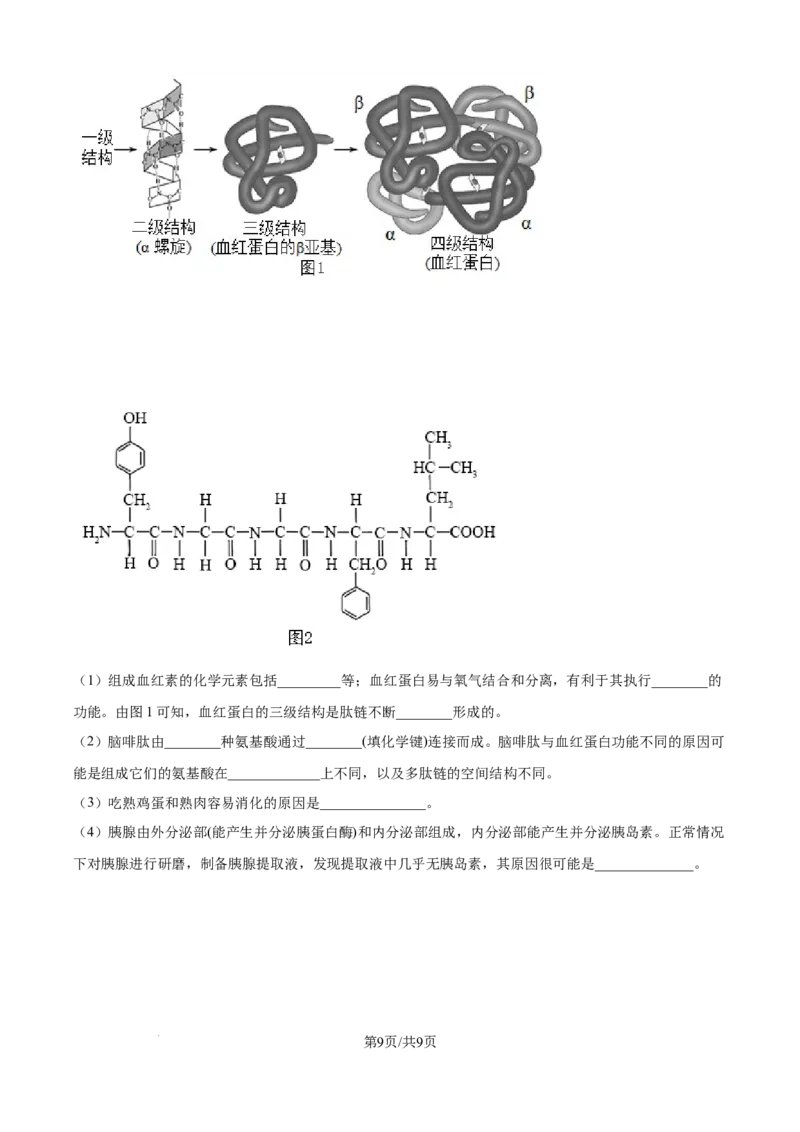 精品解析：湖南省汉寿县第一中学2025-2026学年高一上学期11月月考生物试题（原卷版）_2025年12月高一试卷_251214湖南省常德市汉寿县第一中学2025-2026学年高一上学期11月期中（全）