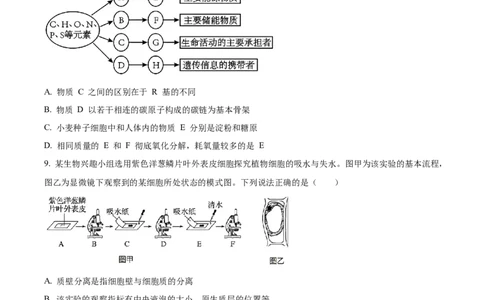 精品解析：湖南省汉寿县第一中学2025-2026学年高一上学期11月月考生物试题（原卷版）_2025年12月高一试卷_251214湖南省常德市汉寿县第一中学2025-2026学年高一上学期11月期中（全）