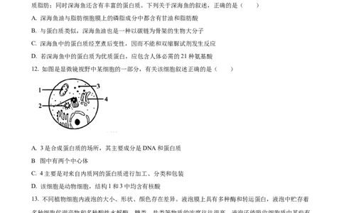 精品解析：湖南省汉寿县第一中学2025-2026学年高一上学期11月月考生物试题（原卷版）_2025年12月高一试卷_251214湖南省常德市汉寿县第一中学2025-2026学年高一上学期11月期中（全）