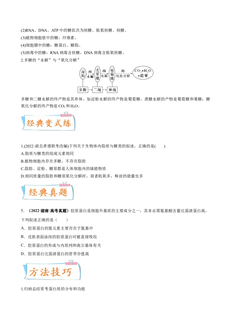考向01组成细胞的分子-备战2023年高考生物一轮复习考点微专题（全国通用）（原卷版）_通用版（老高考）复习资料_2023年复习资料_一轮复习