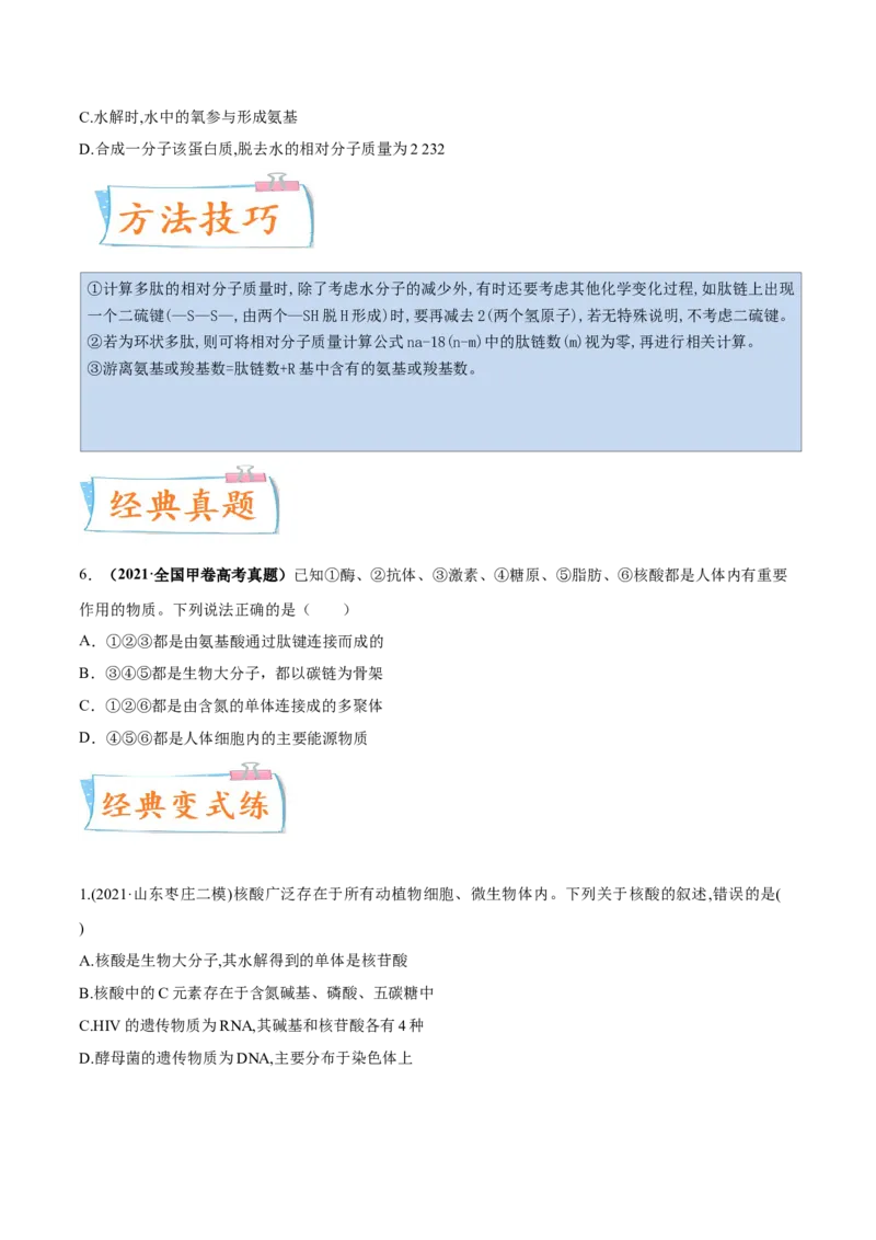考向01组成细胞的分子-备战2023年高考生物一轮复习考点微专题（全国通用）（原卷版）_通用版（老高考）复习资料_2023年复习资料_一轮复习