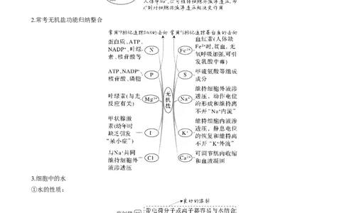 考向01组成细胞的分子-备战2023年高考生物一轮复习考点微专题（全国通用）（原卷版）_通用版（老高考）复习资料_2023年复习资料_一轮复习