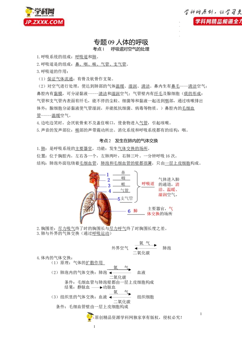专题09人体的呼吸（知识帮）-备战2023年中考生物一轮复习考点帮（全国通用）_6生物中考复习_2023年中考复习资料_一轮复习_备战2023年中考生物一轮复习考点帮（全国通用）288506454