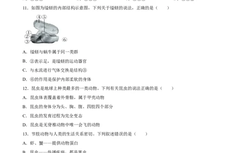 专题16动物的主要类群（习题精练）-省心备考2024年中考生物一轮复习精讲精练（全国通用）（原卷版）_6生物中考复习_2024年中考复习资料_一轮复习资料_配套练习（原卷版+解析版）