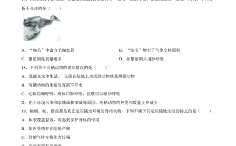 专题16动物的主要类群（习题精练）-省心备考2024年中考生物一轮复习精讲精练（全国通用）（原卷版）_6生物中考复习_2024年中考复习资料_一轮复习资料_配套练习（原卷版+解析版）