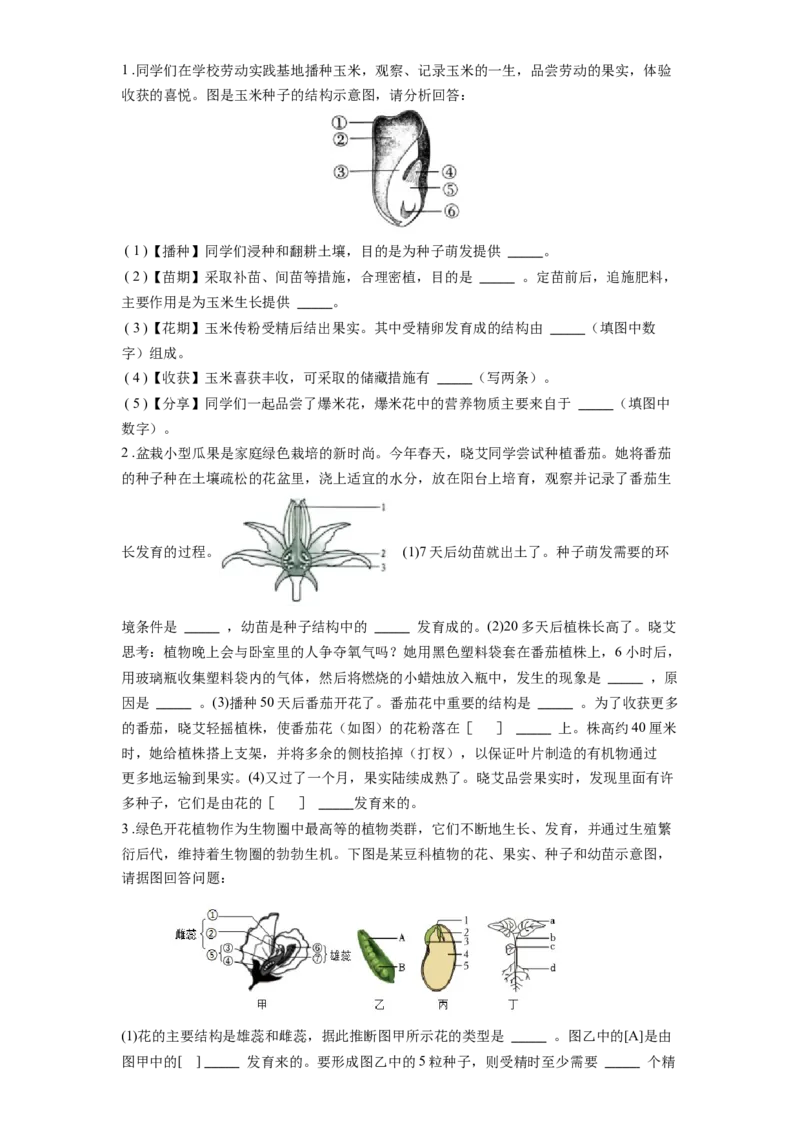 专题07被子植物的一生（原卷版）_6生物中考复习_2024年中考复习资料_一轮复习资料_完精准复习课件精讲ppt+习题精练备战2024年中考生物一轮复习全考点通关_配套练习