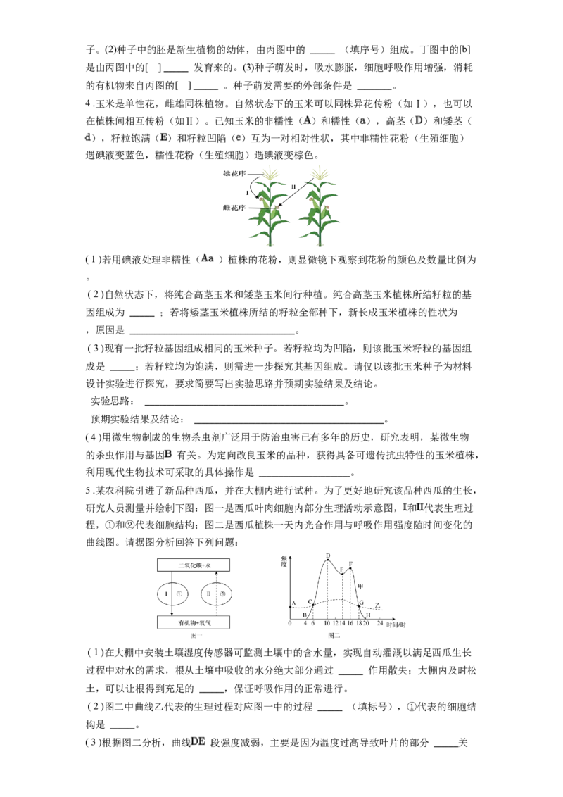 专题07被子植物的一生（原卷版）_6生物中考复习_2024年中考复习资料_一轮复习资料_完精准复习课件精讲ppt+习题精练备战2024年中考生物一轮复习全考点通关_配套练习