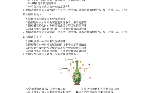 专题07被子植物的一生（原卷版）_6生物中考复习_2024年中考复习资料_一轮复习资料_完精准复习课件精讲ppt+习题精练备战2024年中考生物一轮复习全考点通关_配套练习