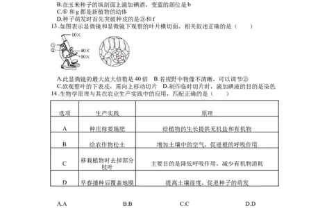 专题07被子植物的一生（原卷版）_6生物中考复习_2024年中考复习资料_一轮复习资料_完精准复习课件精讲ppt+习题精练备战2024年中考生物一轮复习全考点通关_配套练习