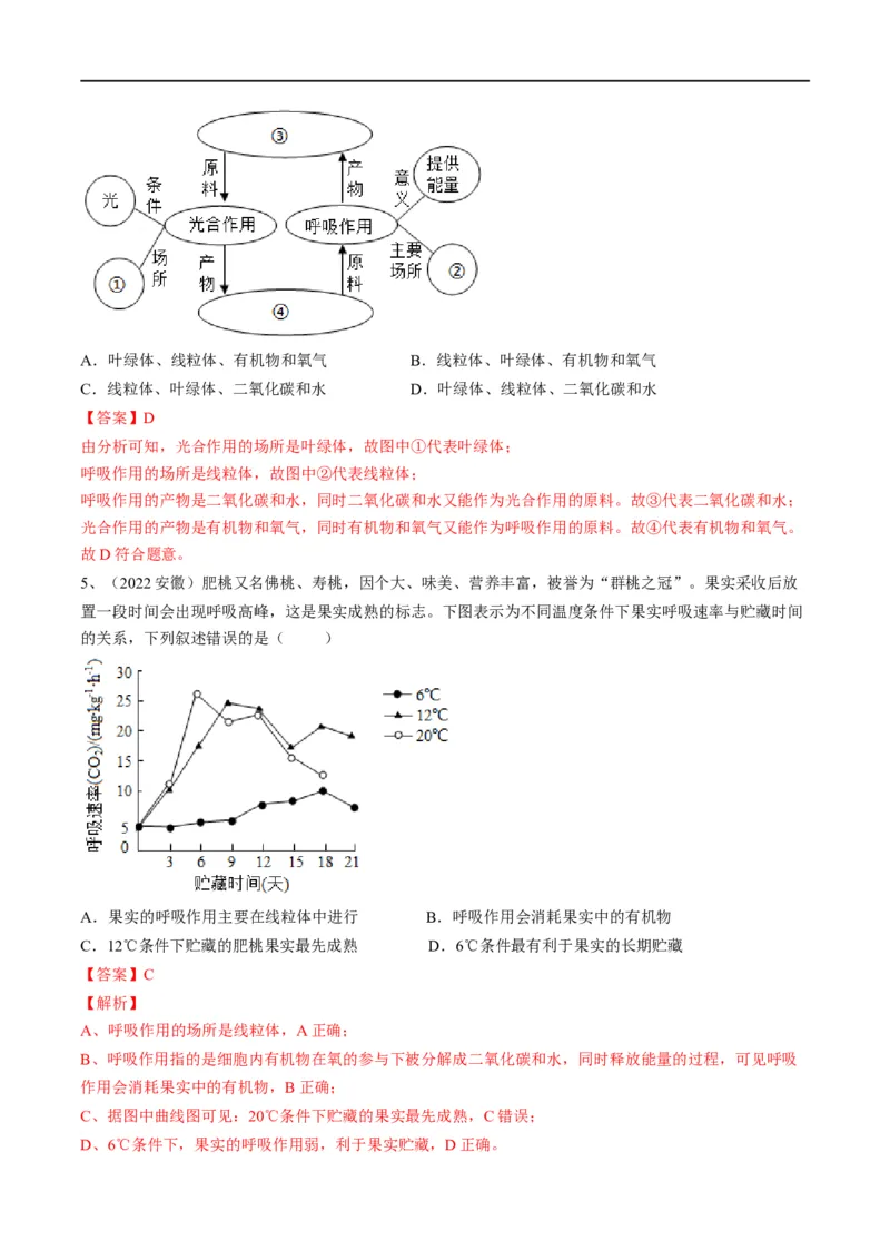 专题08绿色植物的呼吸作用（解析版）_6生物中考复习_2023年中考复习资料_一轮复习_2023年中考生物一轮复习讲练测_专题08绿色植物的呼吸作用（专题精练）-2023年中考生物一轮复习讲练测