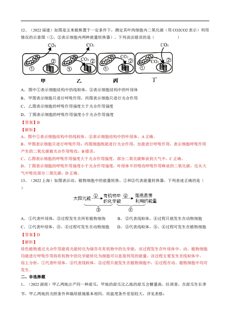 专题08绿色植物的呼吸作用（解析版）_6生物中考复习_2023年中考复习资料_一轮复习_2023年中考生物一轮复习讲练测_专题08绿色植物的呼吸作用（专题精练）-2023年中考生物一轮复习讲练测