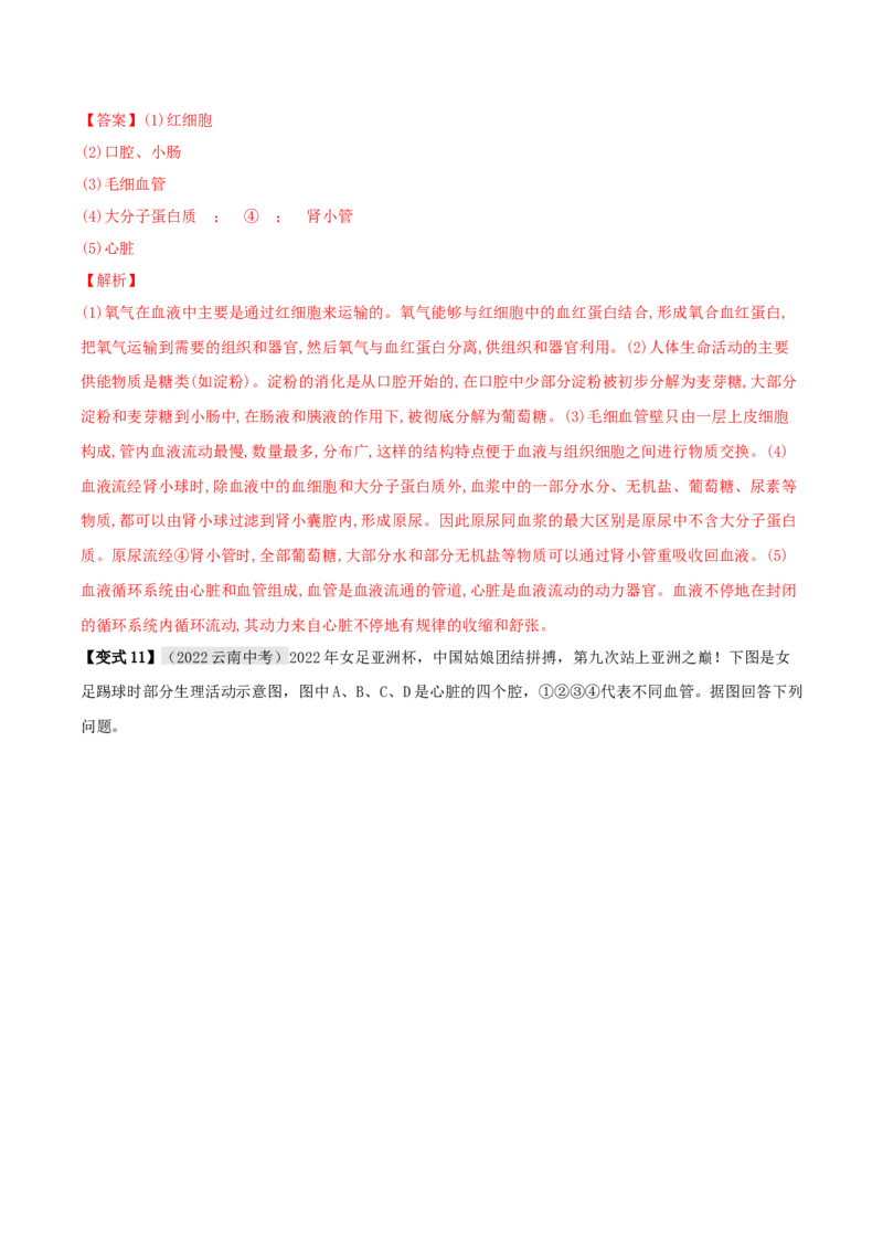 专题14人体内废物的排出（解析版）_6生物中考复习_2023年中考复习资料_专项复习_2023年中考生物总复习真题探究与变式训练（全国通用）